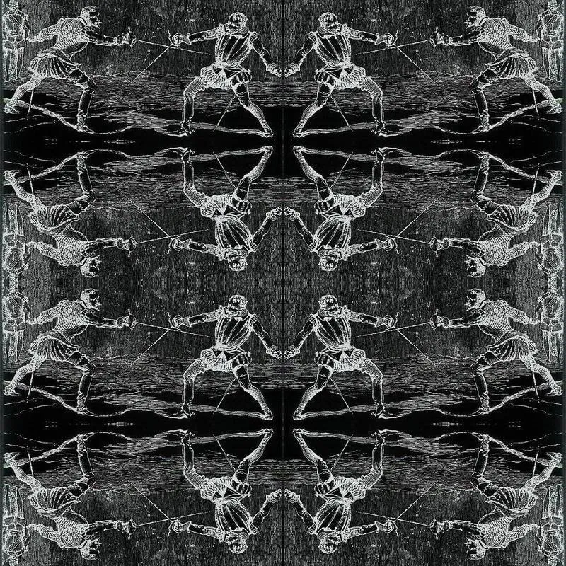 reverse-fencing-mirrored-many-times.jpg