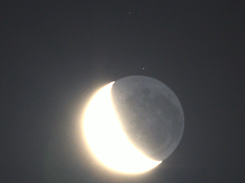 dylan-lovejoy-starfixed-comparision.gif
