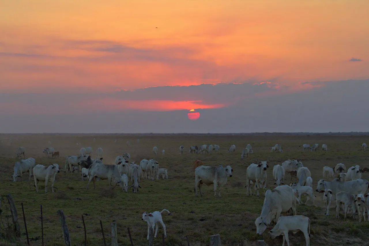 Los_Llanos_Venezolanos_(8586243117).png