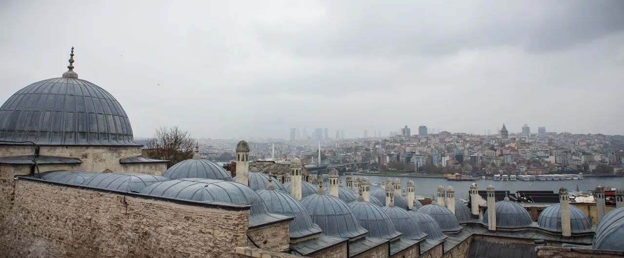 DSC05097-2.jpg