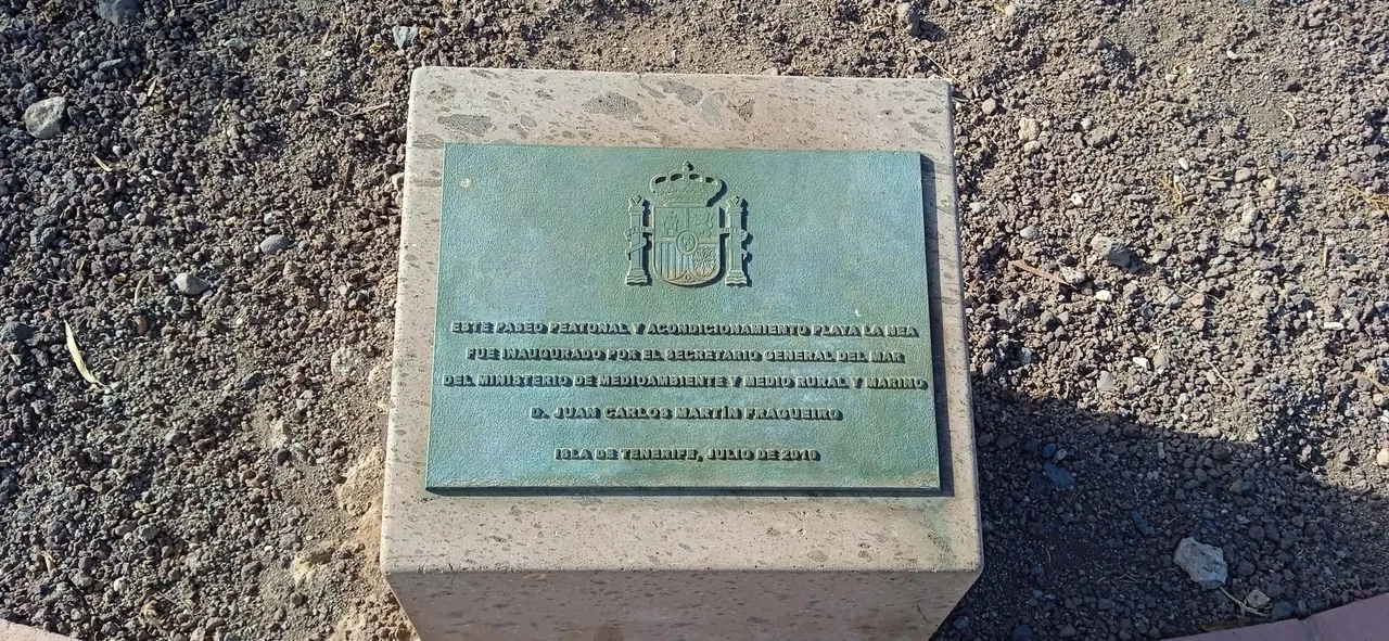 Plala La Nea Radazul Hive Tenerife (4).jpg