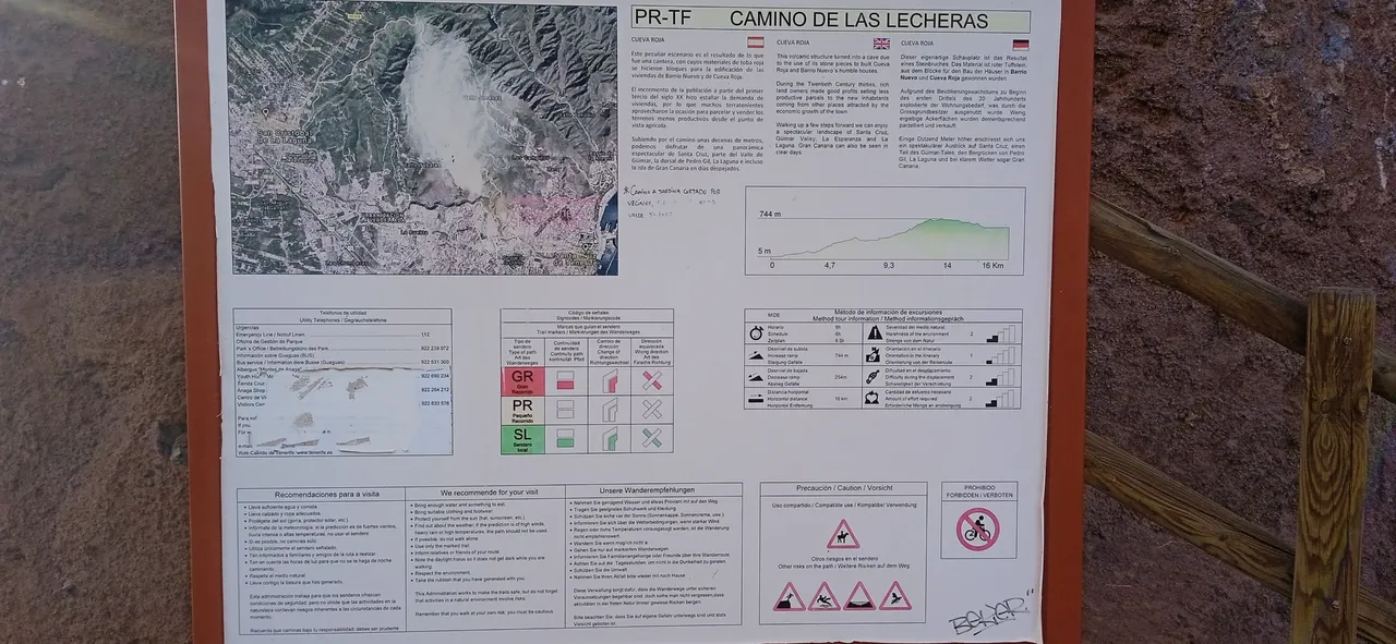 Cueva Roja Barrio Nuevo Las Lecheras Hive (12).jpg