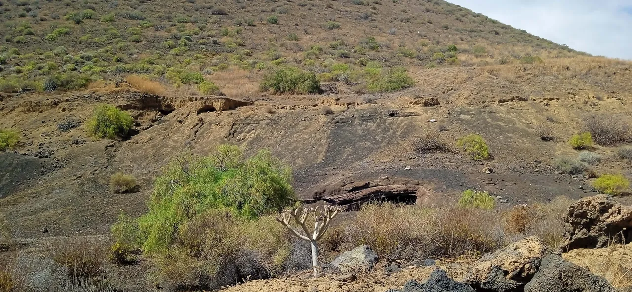 Sendero Malpaís de Güimar (42).jpg