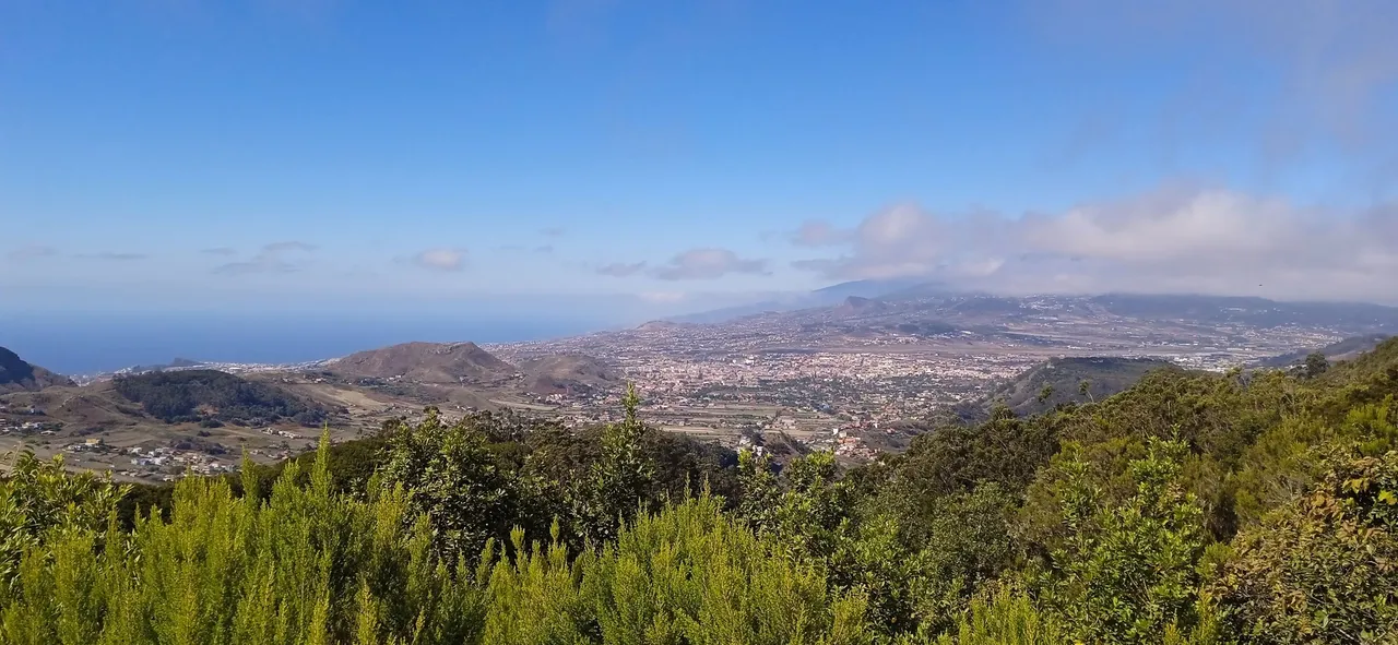 Sendero de Los Enigmas Hija Cambada Zapata Tenerife Hive PinMapple (27).jpg