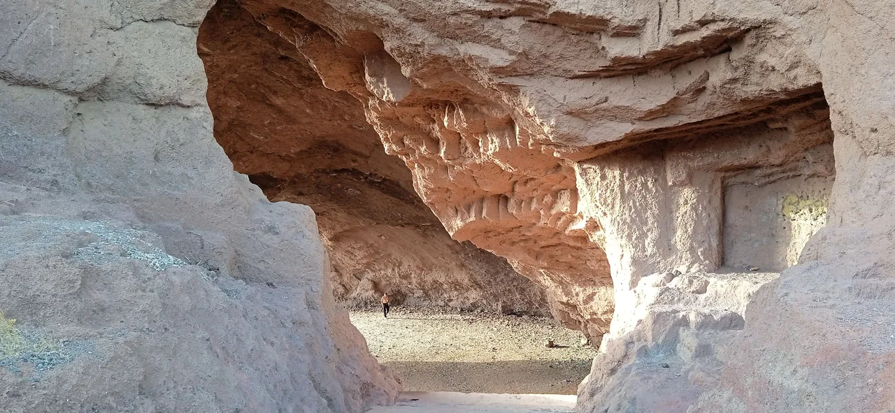 Cueva Roja Barrio Nuevo Las Lecheras Hive (11).jpg