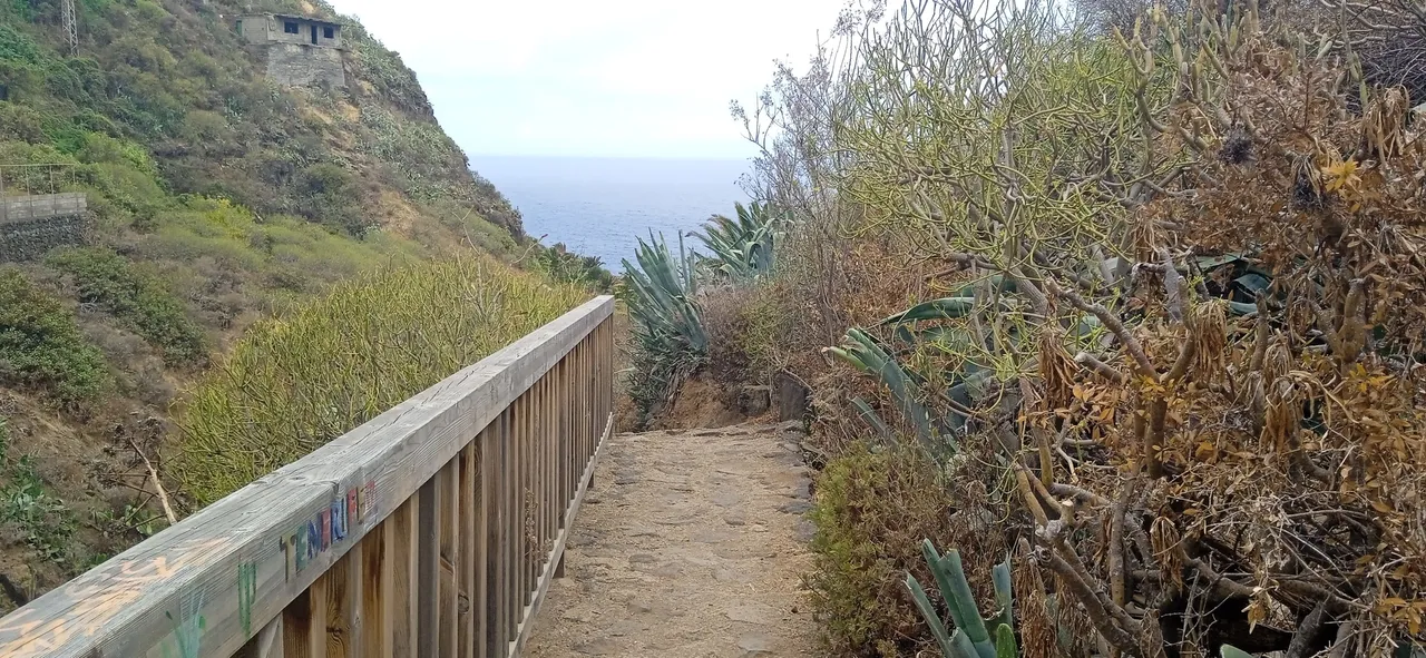 Sendero Rambla de Castro Hive Tenerife PinMapple (20).jpg