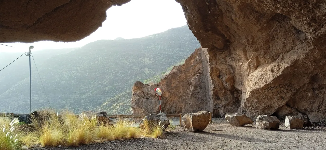 Cueva Roja Barrio Nuevo Las Lecheras Hive (8).jpg