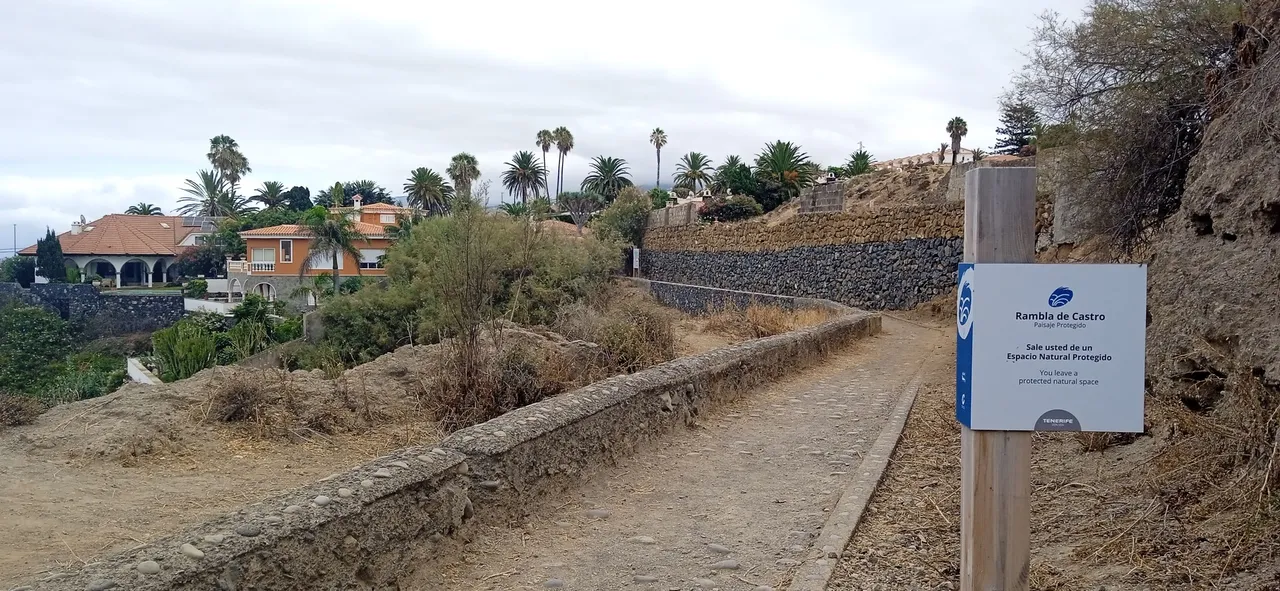 Sendero Rambla de Castro Hive Tenerife PinMapple (50).jpg