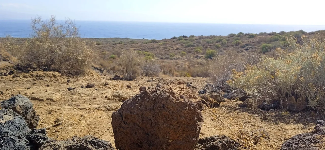 Sendero Malpaís de Güimar (35).jpg