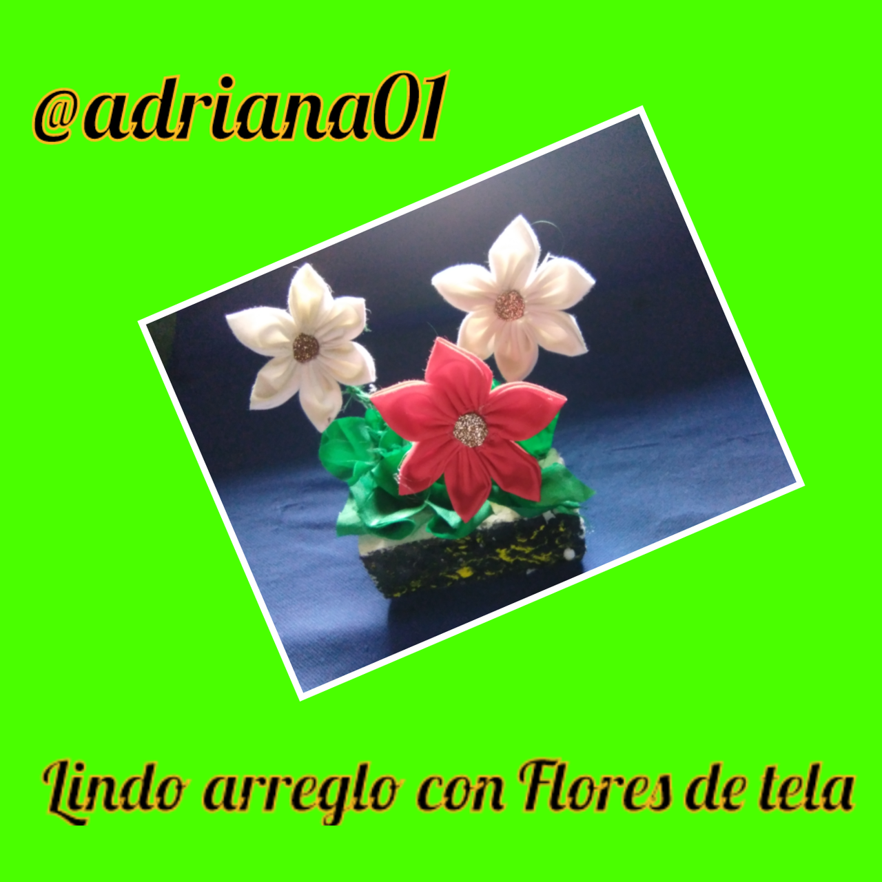 Editor de Fotocollages_R0tABA.png