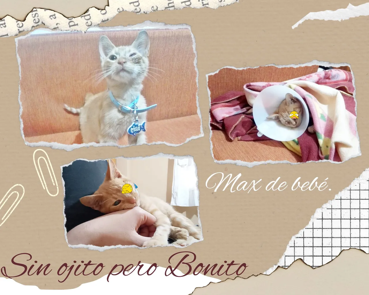Neutral Ripped Paper Friend Photo Collage.jpg