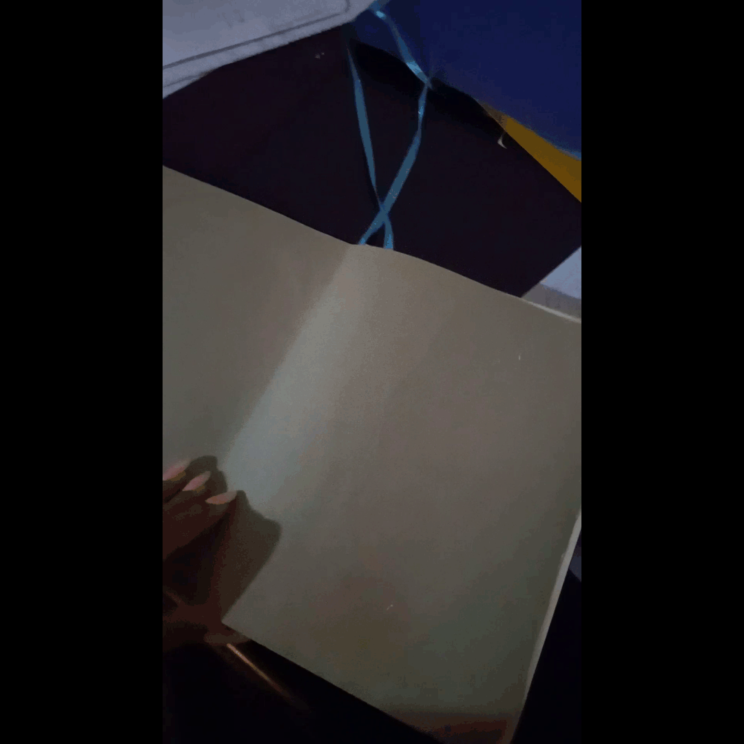Mi video.gif