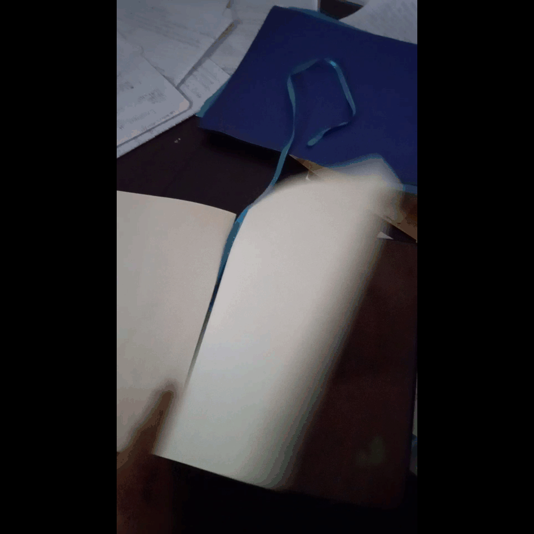 gif 2.gif