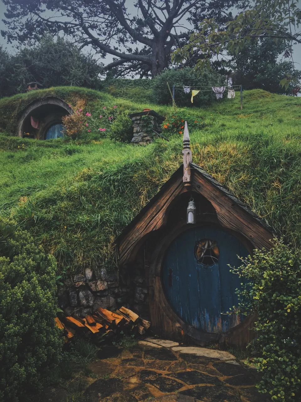 jefffinleyunsplash.jpg