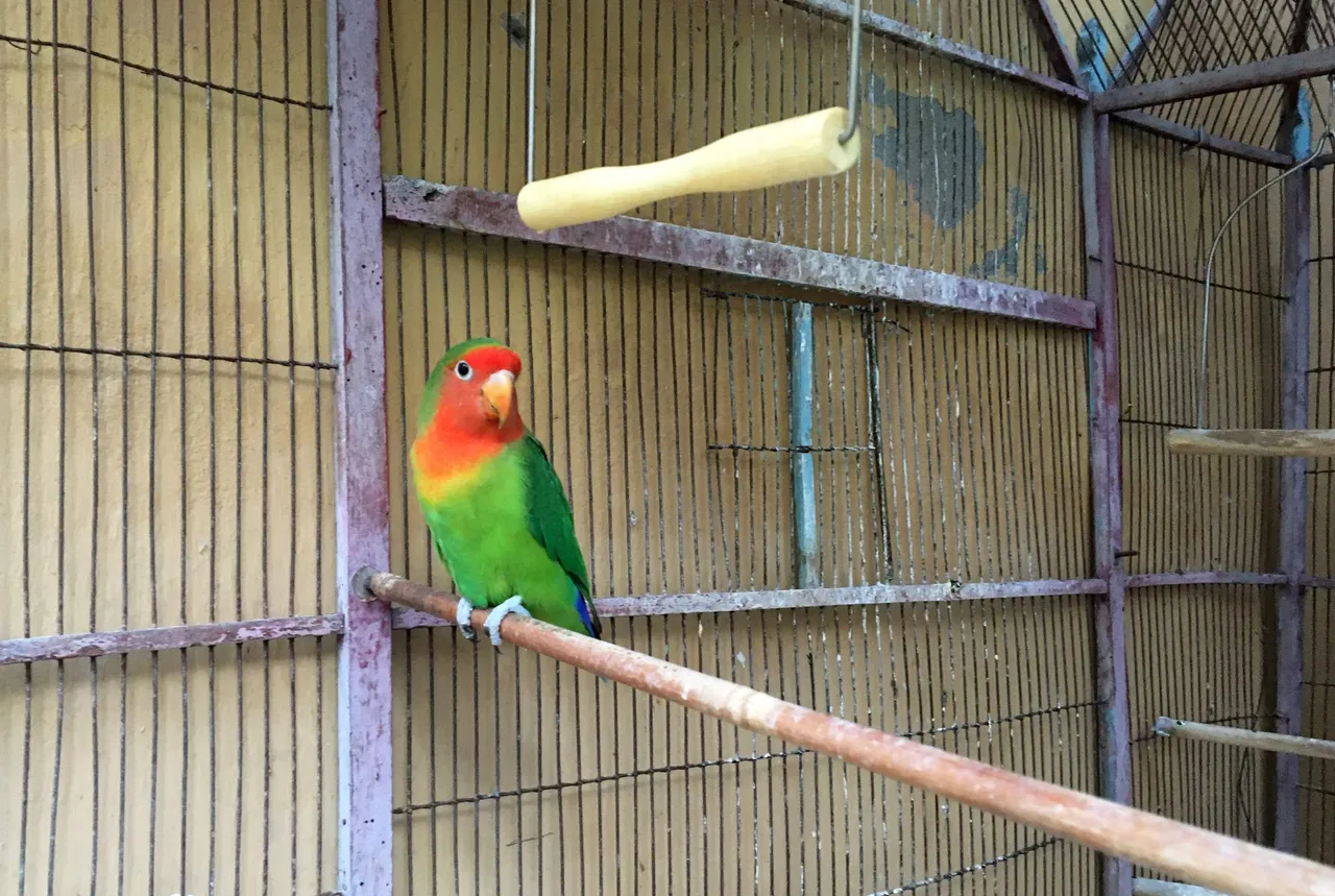 IMG_5238.JPG