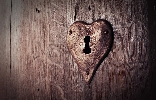 heart-g941b6cf74_640.jpg