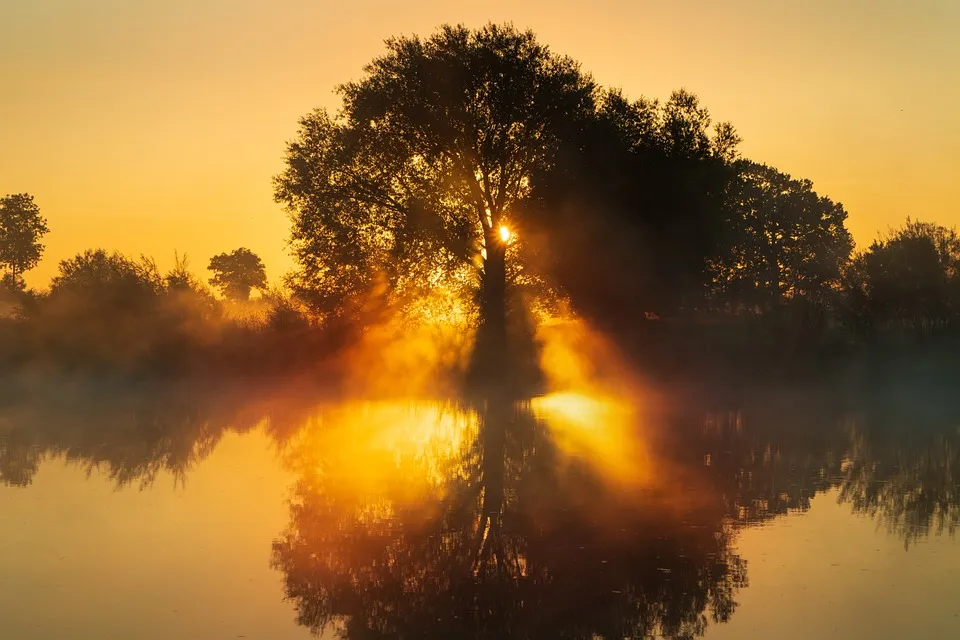 sunrise-7493833_960_720.jpg