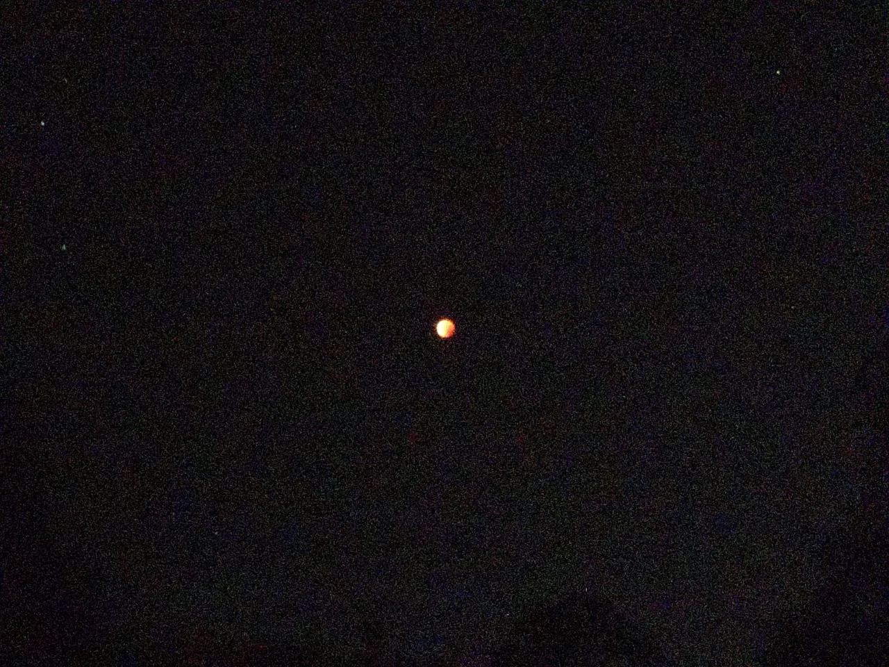 Watching the Blood Moon with the Kids!.jpg