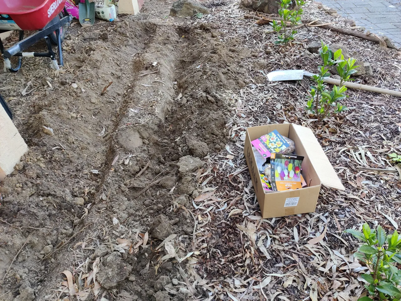 Bulbs in, and mulch some more... .jpg
