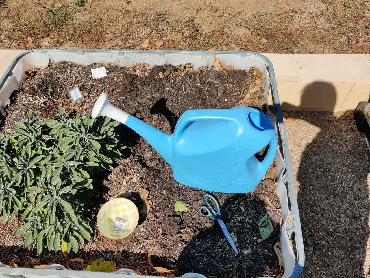 Getting the seeds in!.jpg