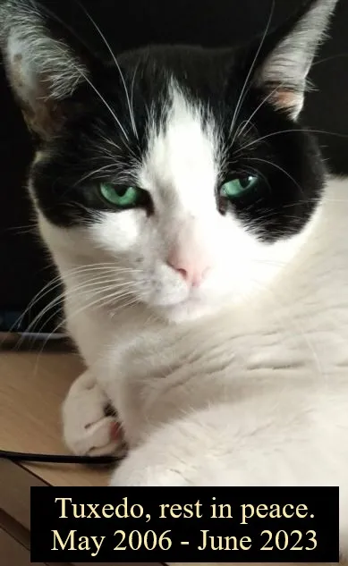 Rest in Peace Tuxedo.jpg