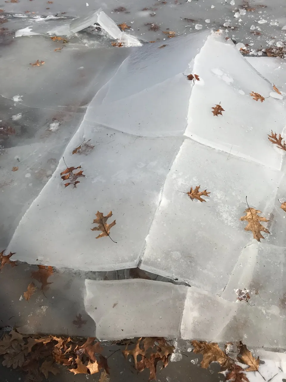 ice 2.jfif