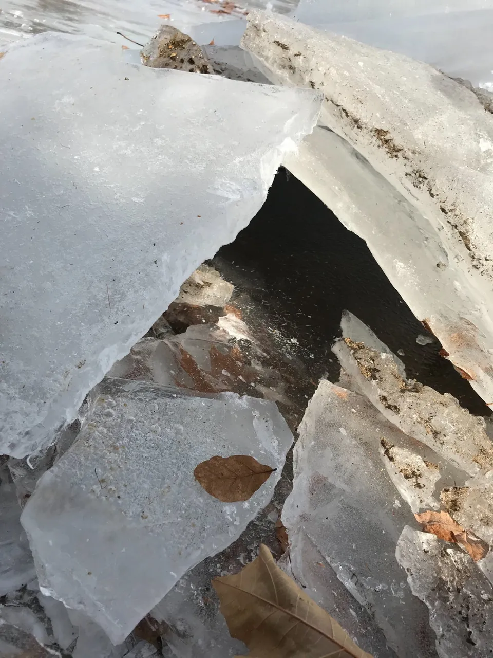 ice 4.jfif