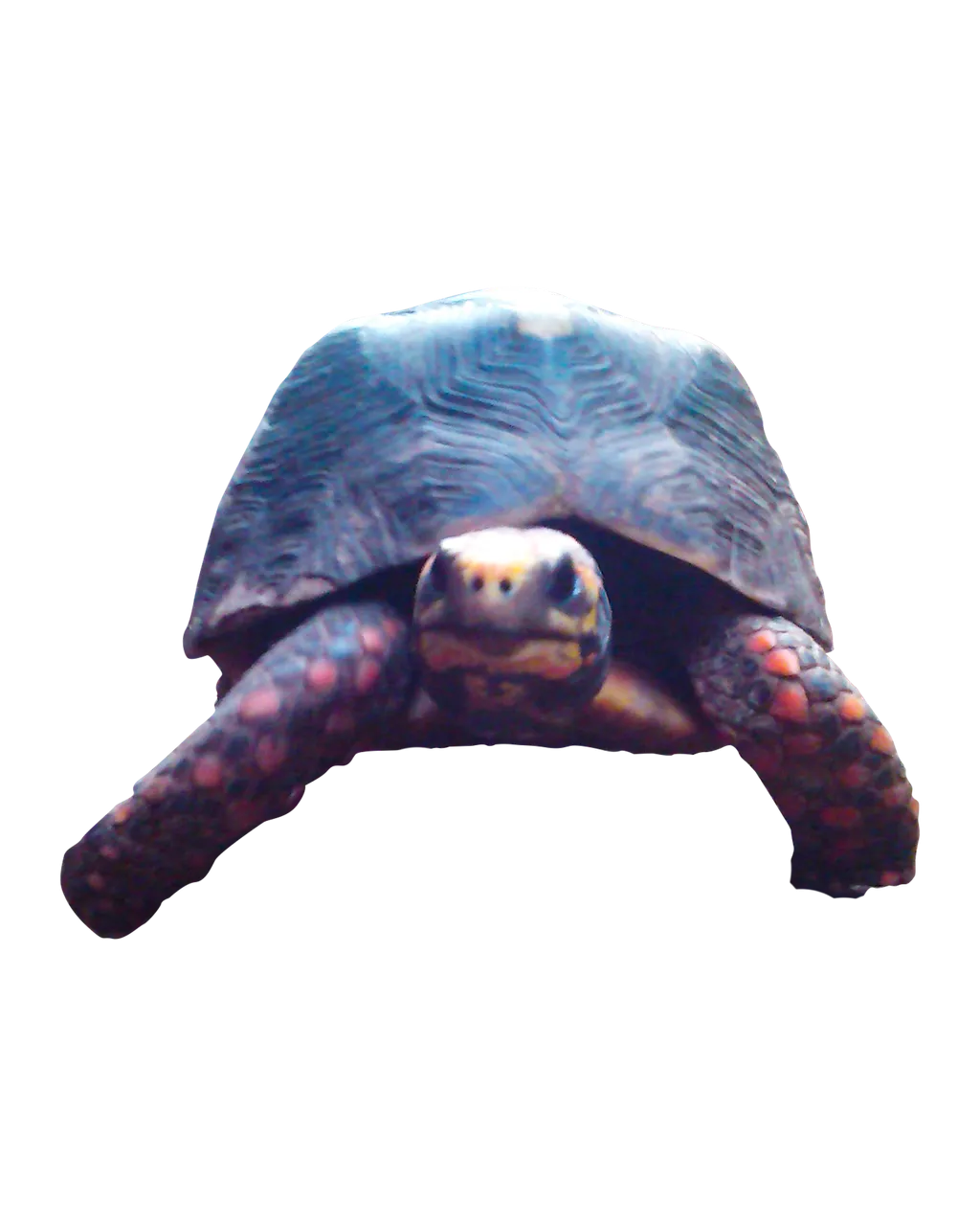 09 (1).png