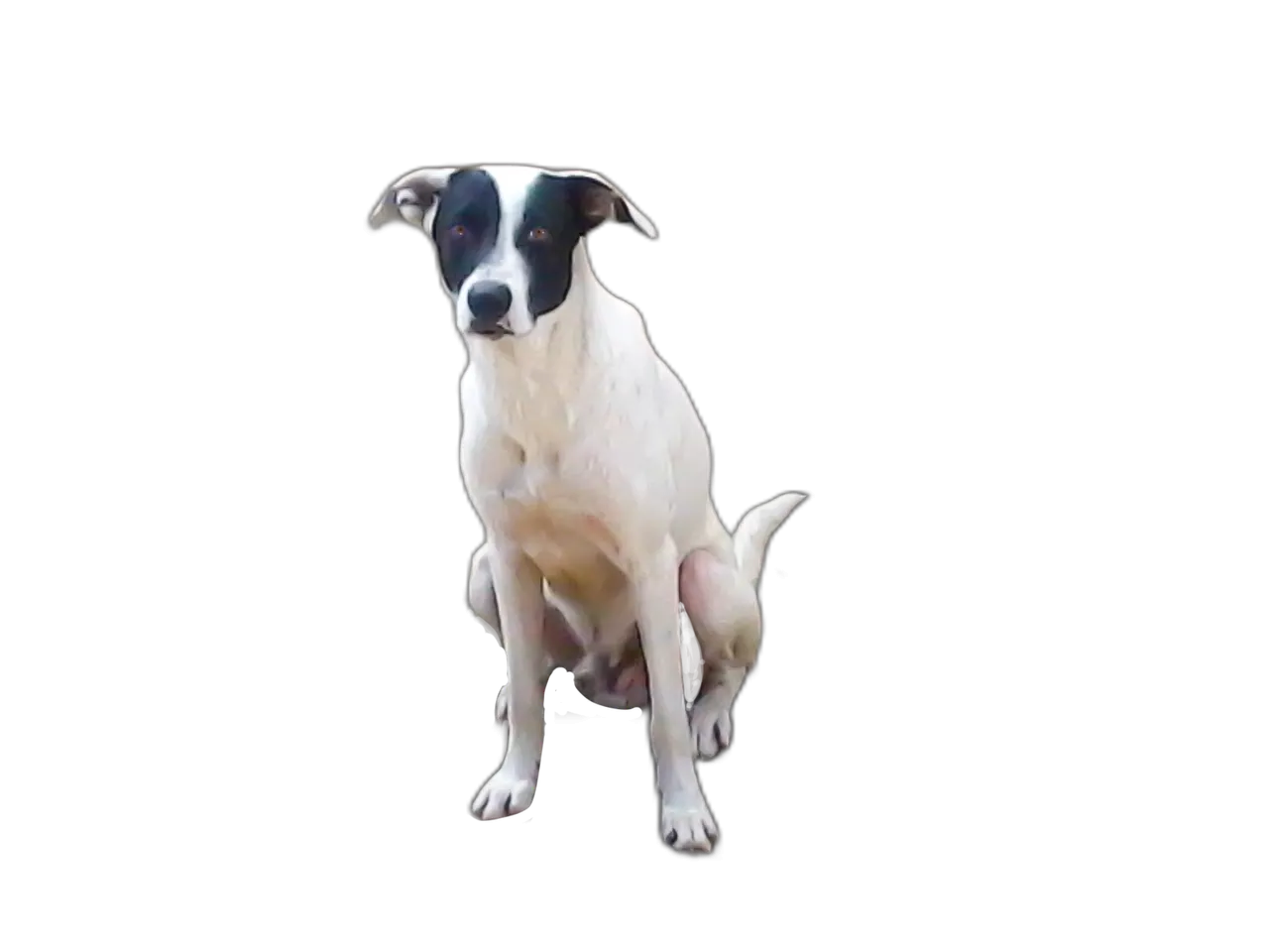 EoGqicGwzXtTUxeQ3wdGX846ypAEKpyNvxUUGamViq9cRp6BfR3sgbpufrDYbvKB6yr.png