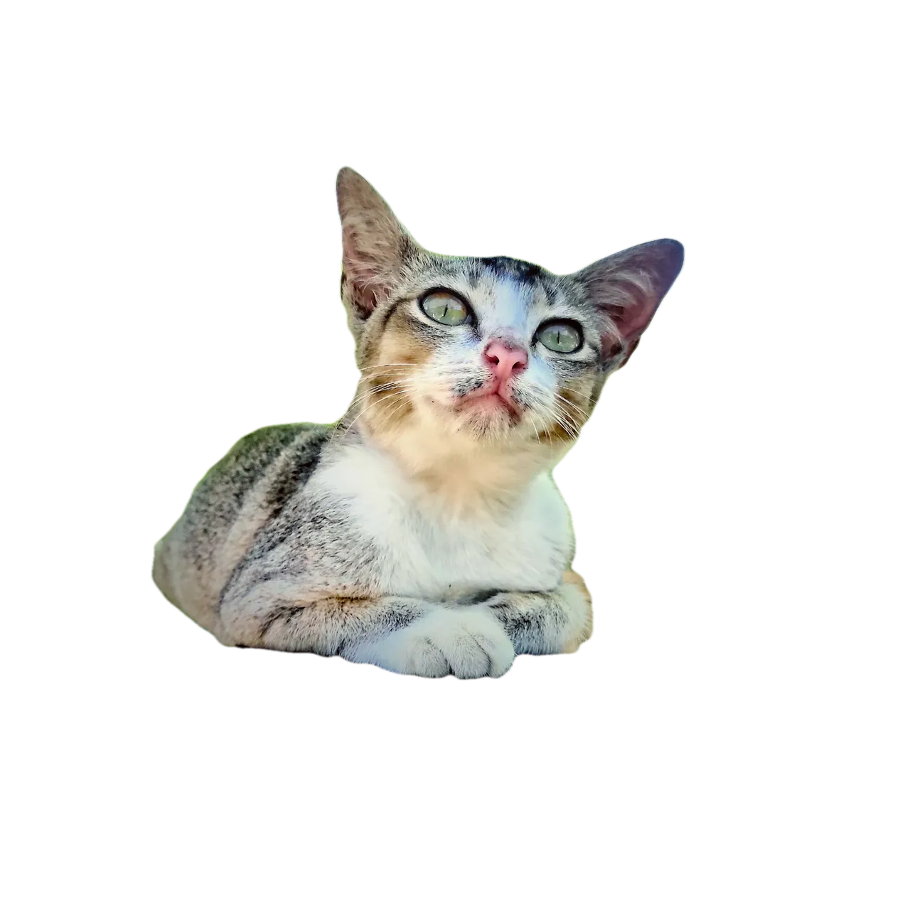 1643995625960.png