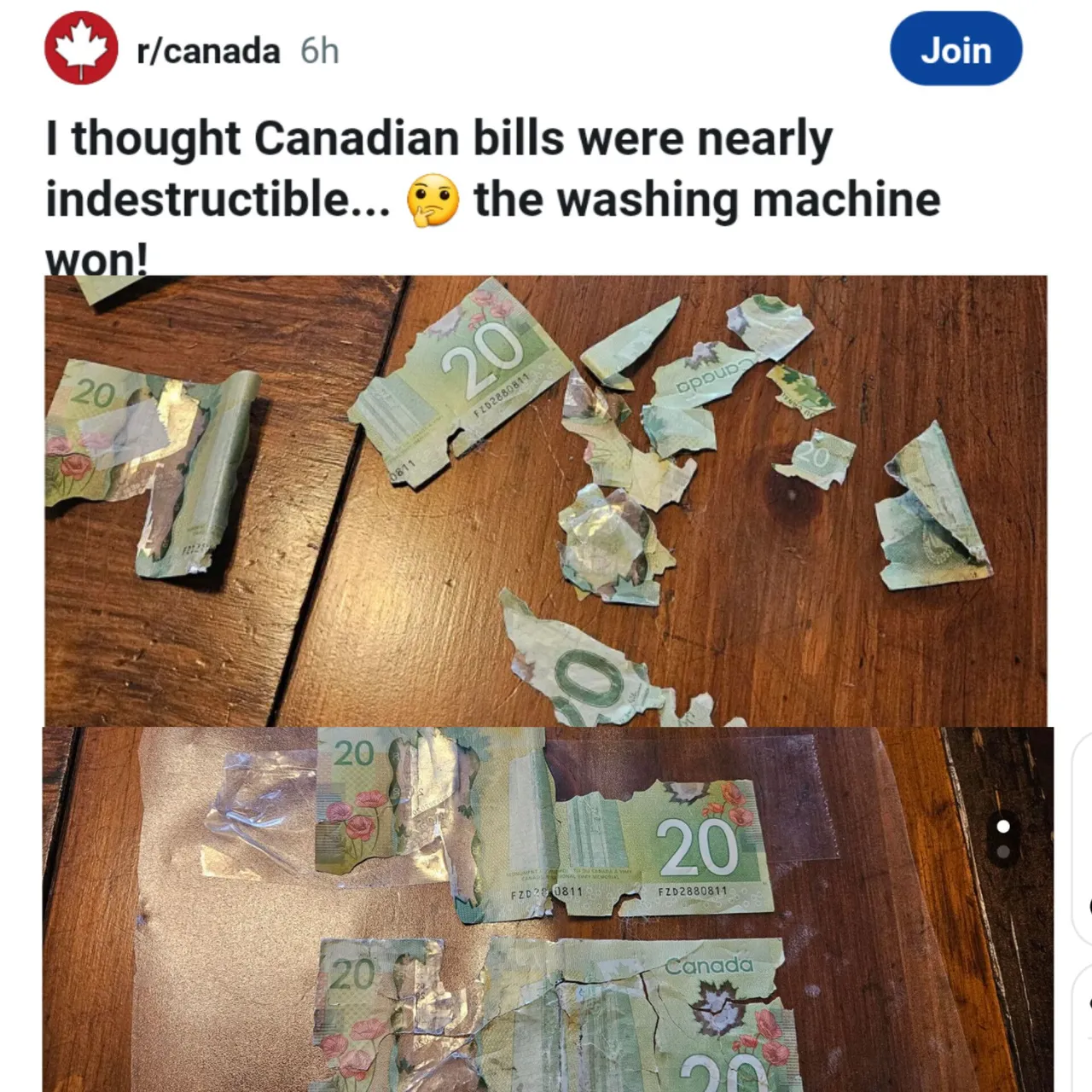 InShot_20240527_185256599.jpg