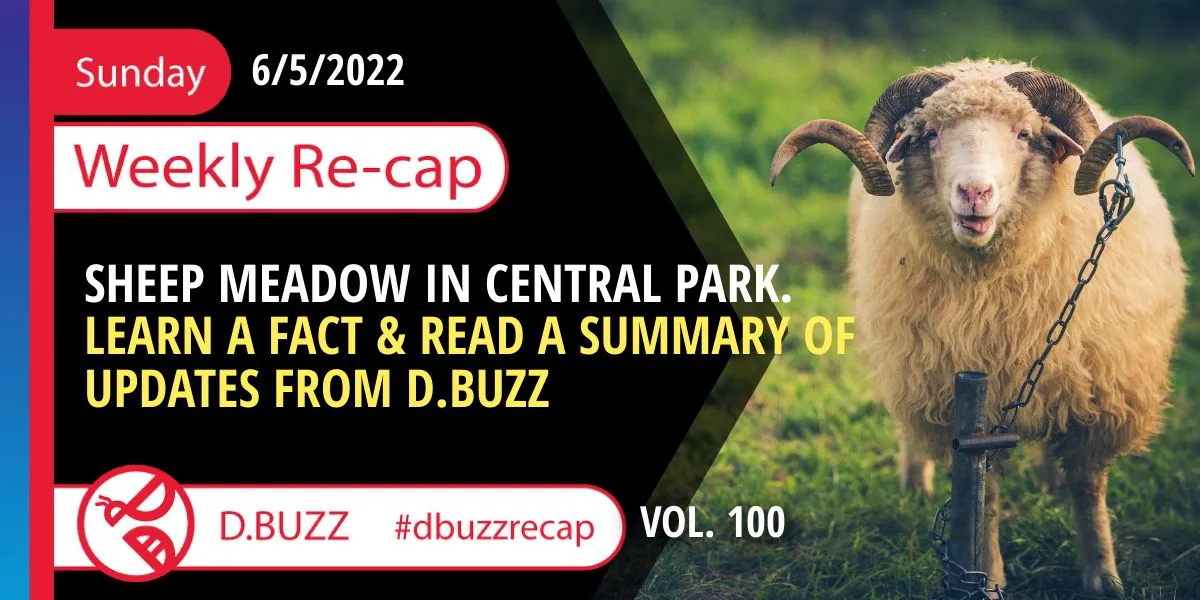 Sunday_WeeklyRecap_ (1).jpeg