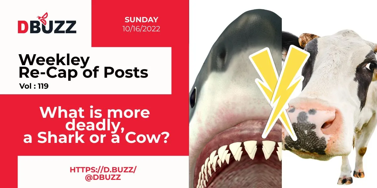 Sunday_re_CapofPosts.jpeg