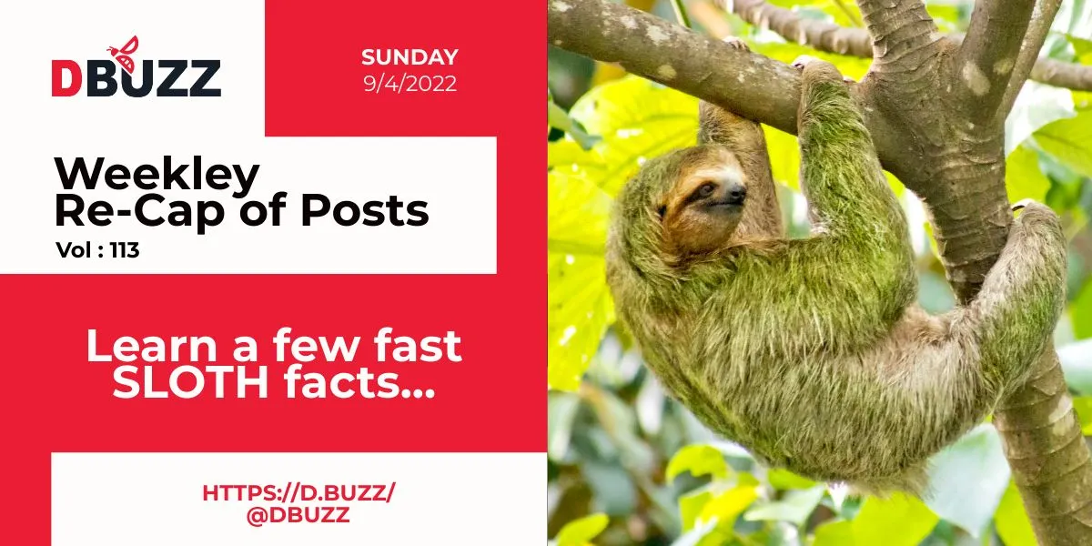 Sunday_re_CapofPosts.jpeg