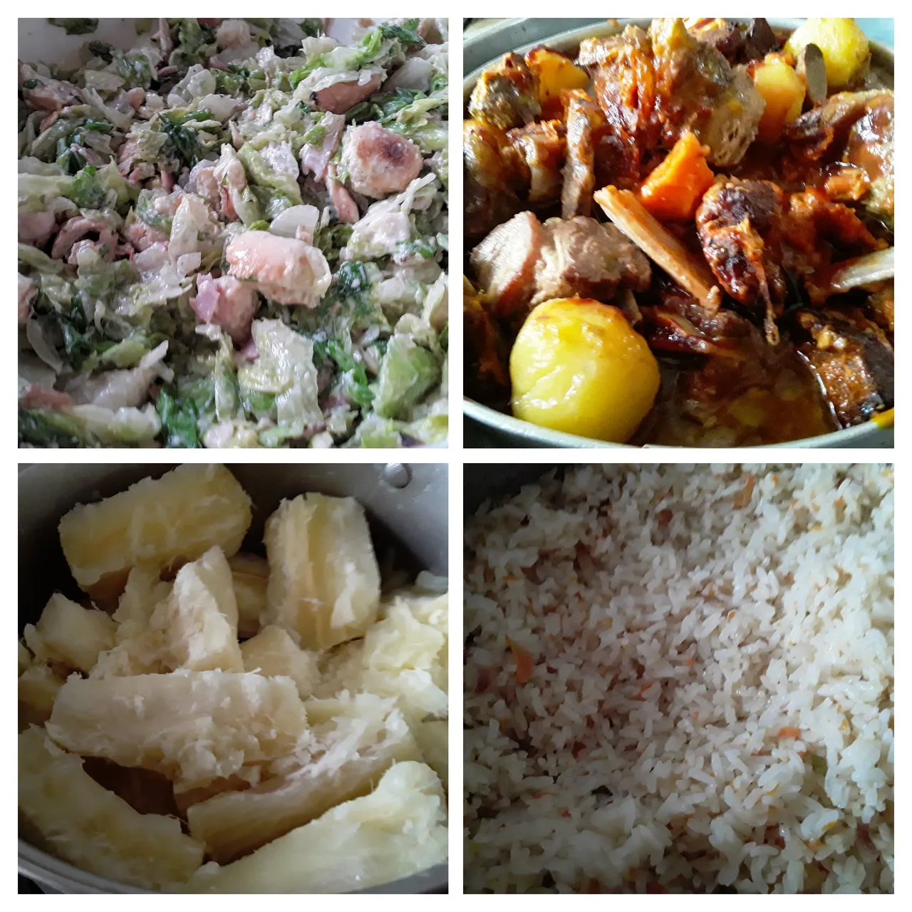 20250615_141142-COLLAGE.jpg