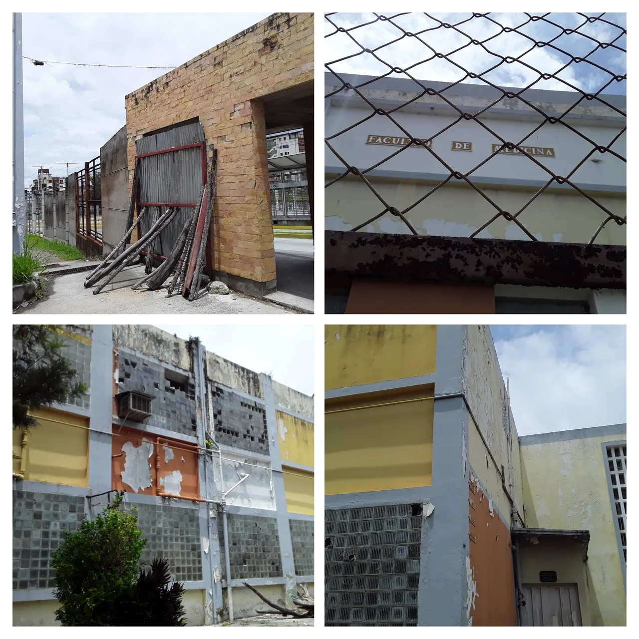 20250407_115951-COLLAGE.jpg