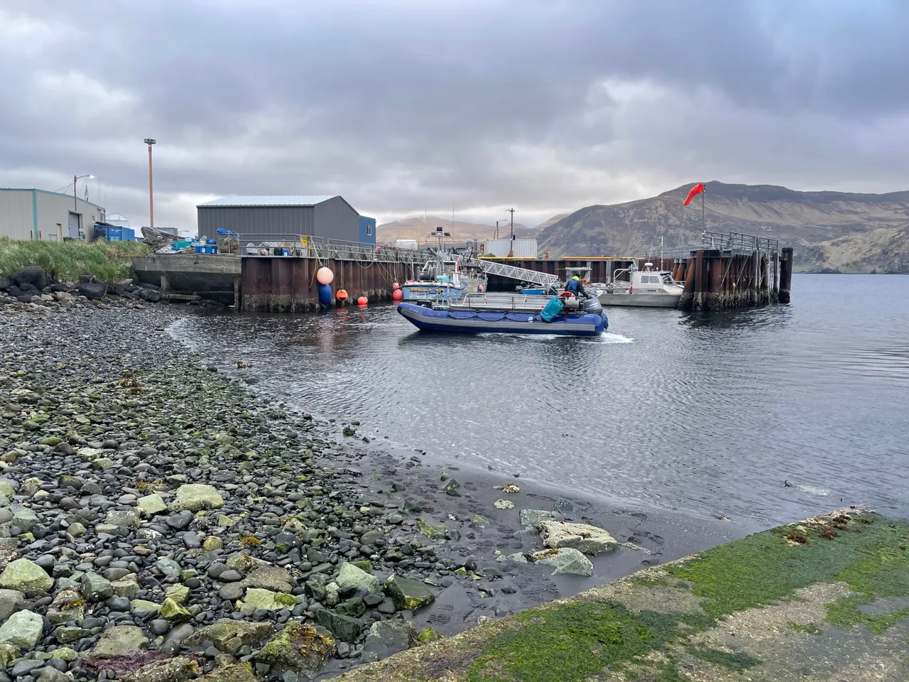 IMG_3227.jpeg