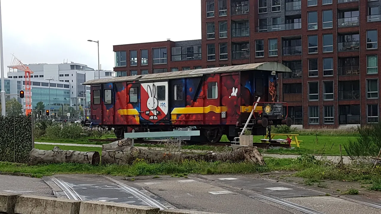 20191022_123625.jpg