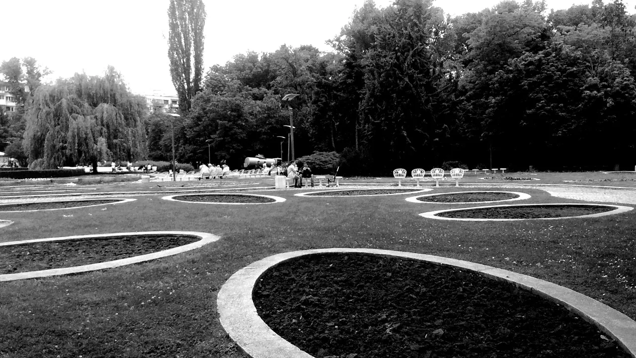 IMG_20190601_115602017+ - Copy.jpg