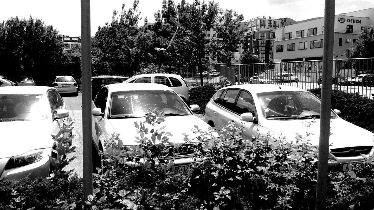IMG_20190615_140303961+ - Copy.jpg