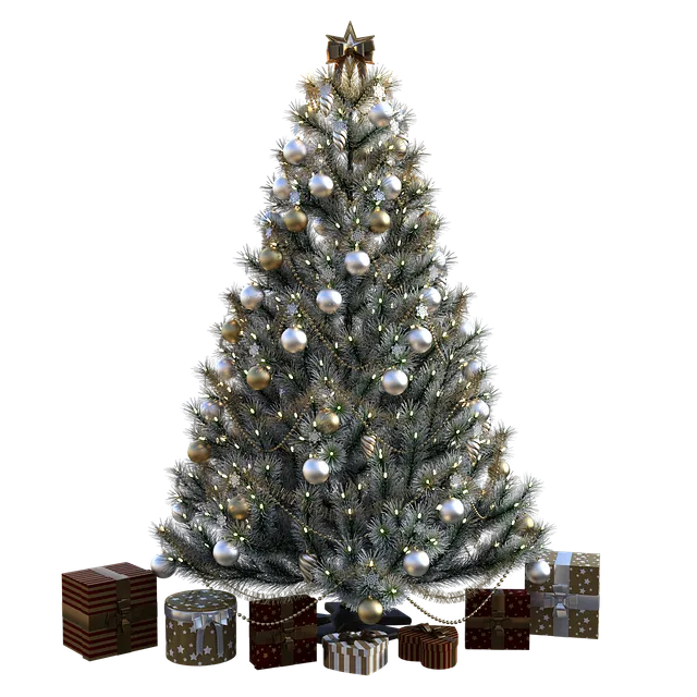 christmas-tree-g1f03636b1_640.png