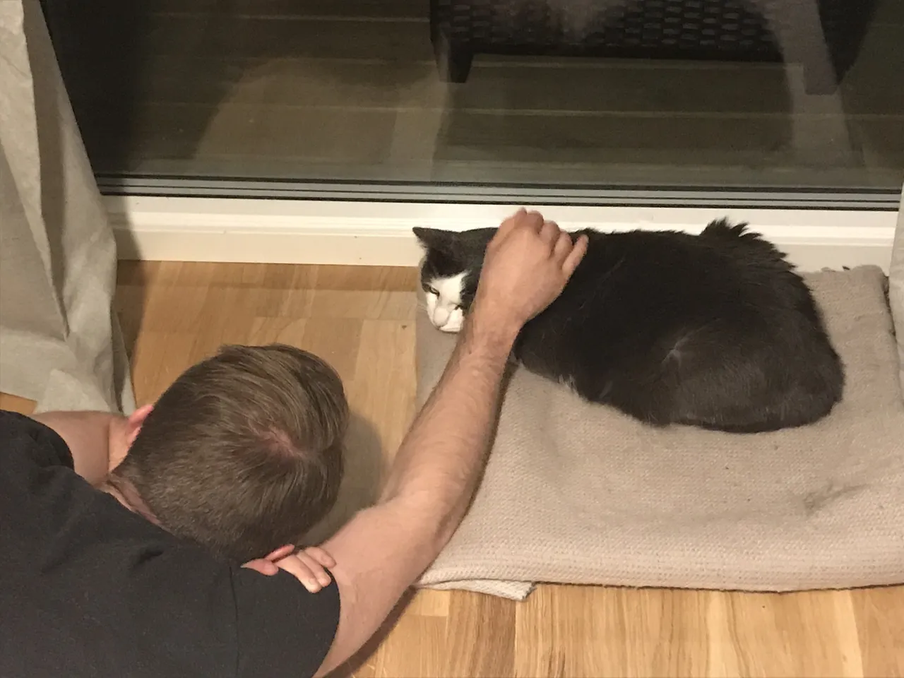 After a few days we could try to give him some cuddles. This is my boyfriend showing him some love.