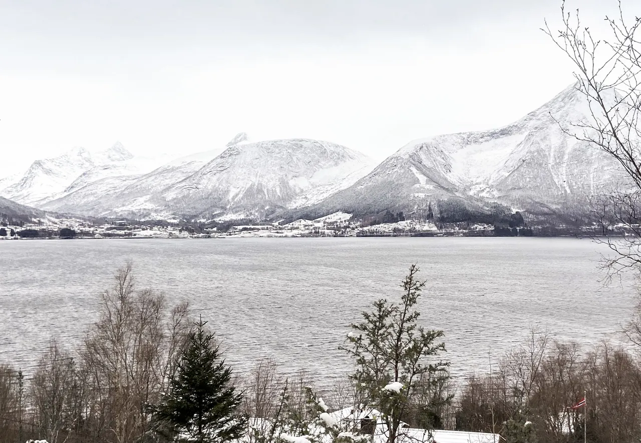 Last winter. I love the look of a winter wonderland in Norway. This is taken in Hareide, Norway.