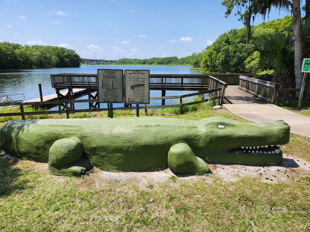 the gator.jpg