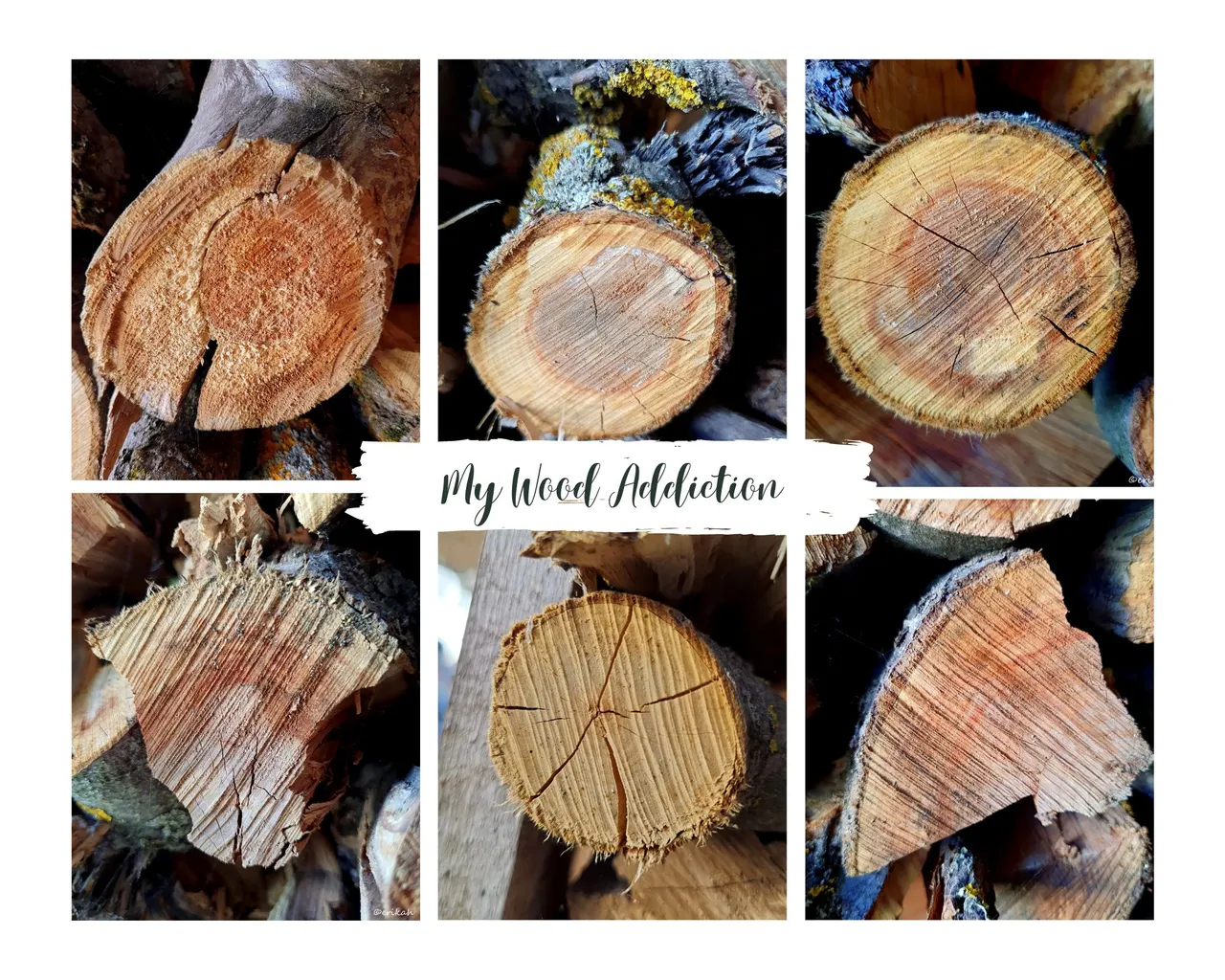 My Wood Addiction.jpg