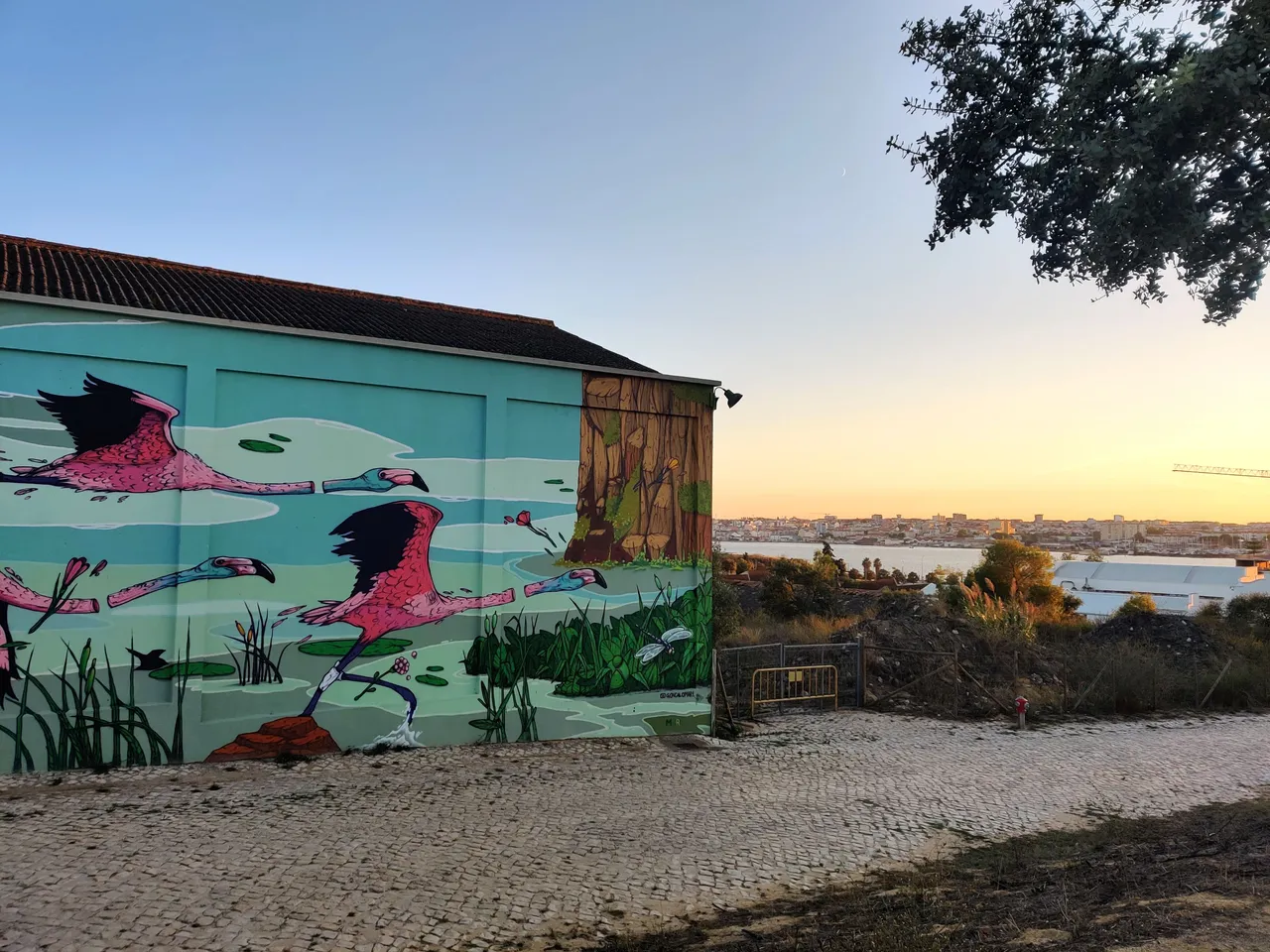 Gocalomar seixal flamingo 9.jpg