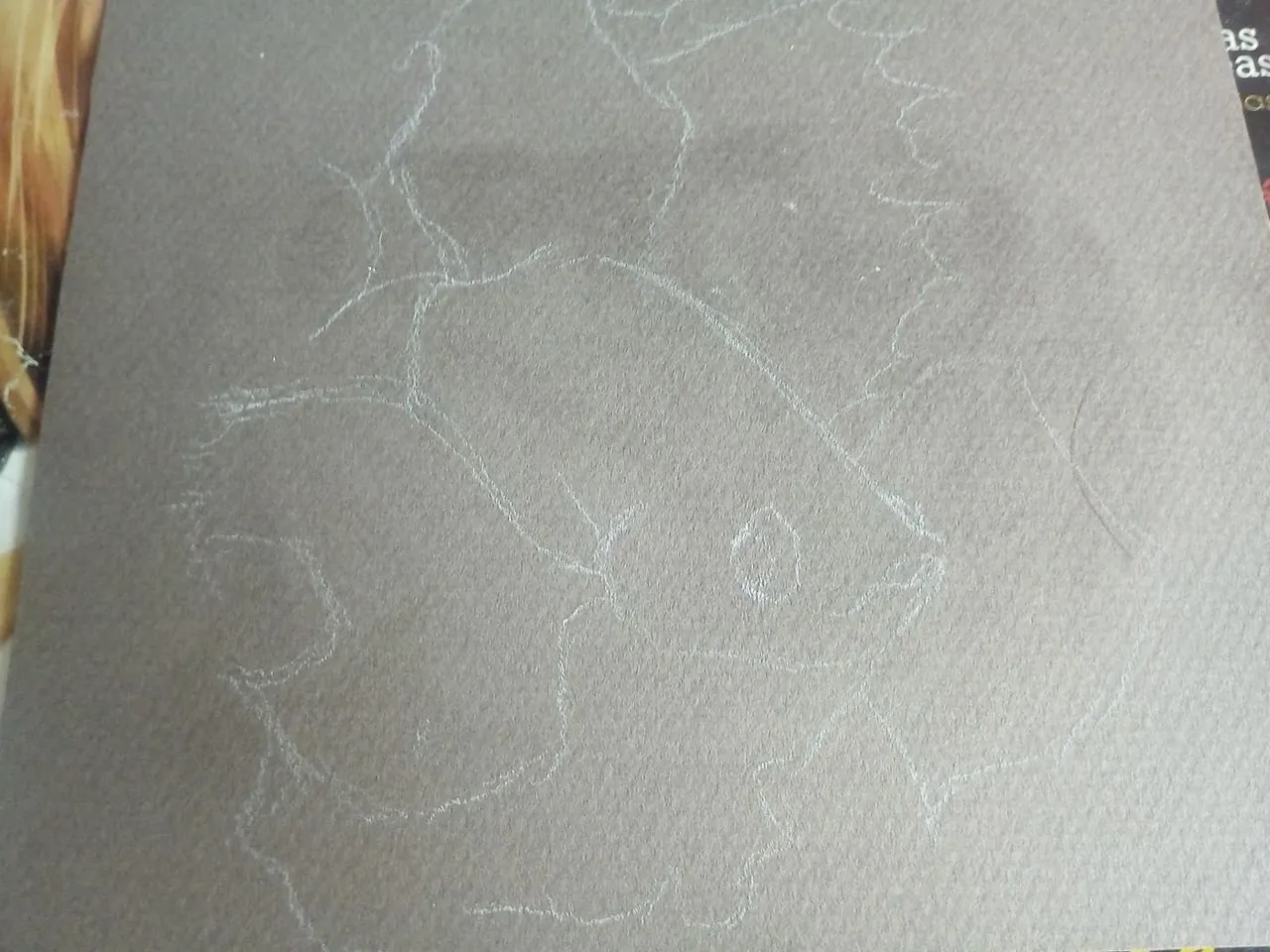 271812421_1302094243602317_836505421672526278_n.jpg