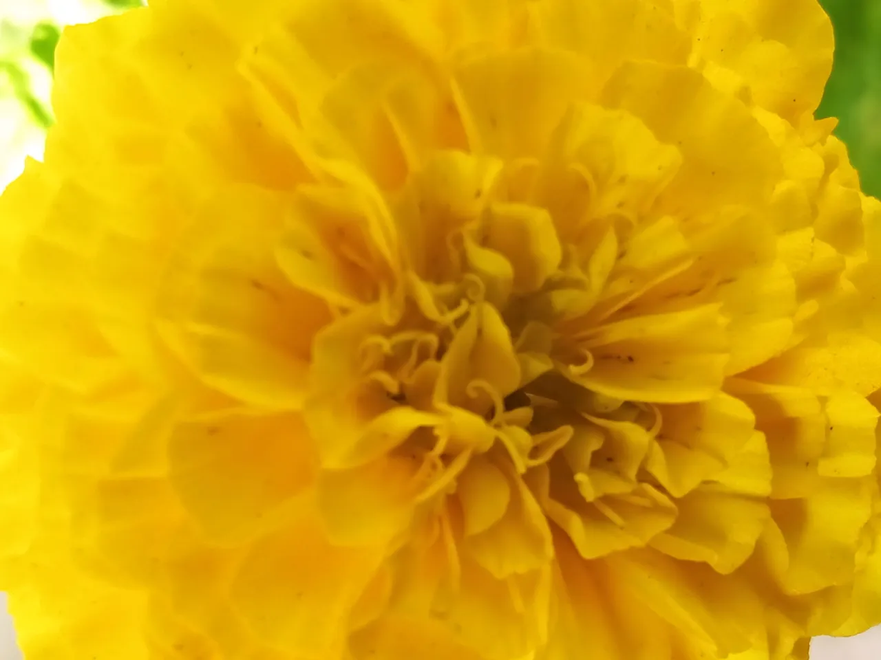 IMG_20250515_082206.jpg