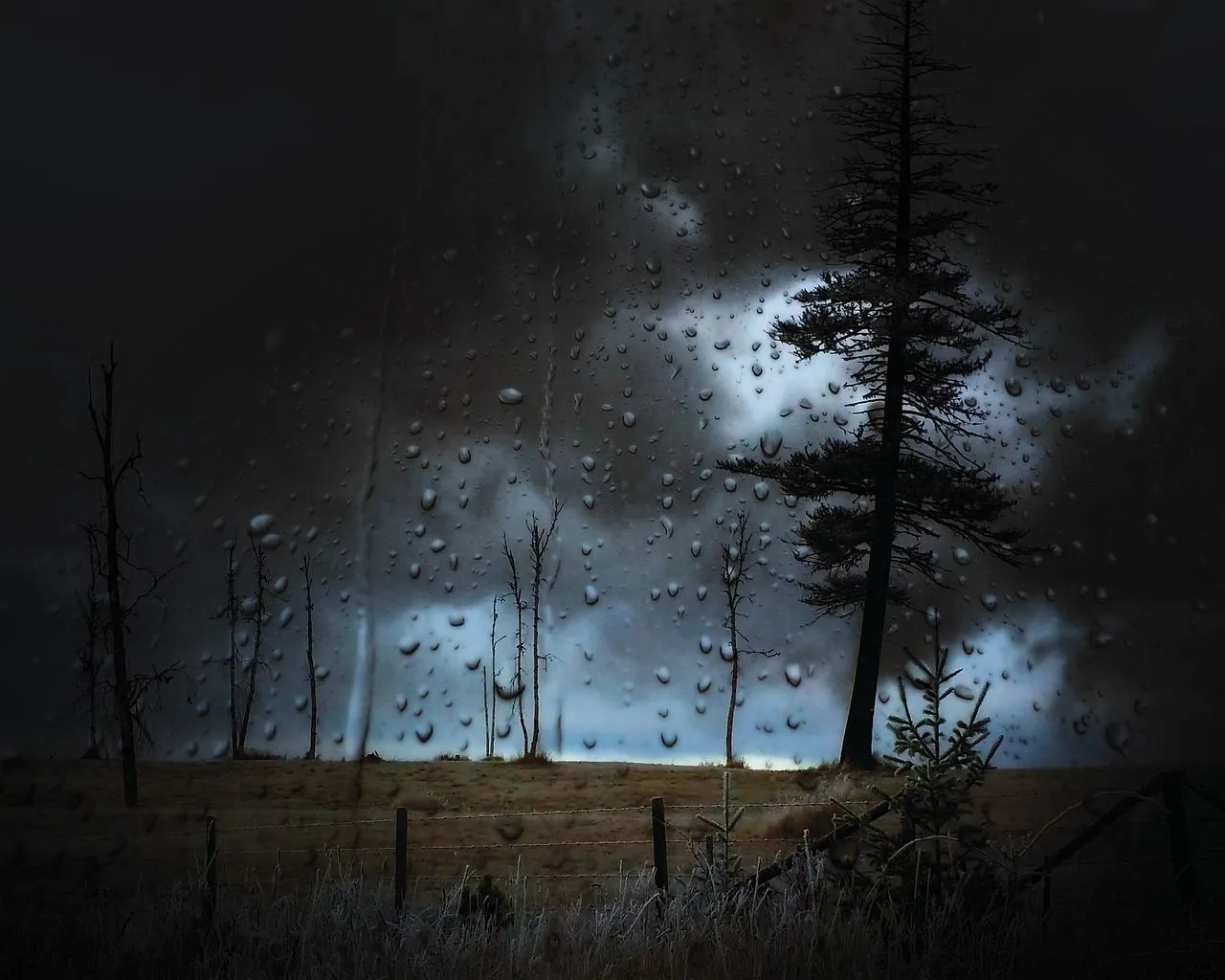 stormy-535491_1280.jpg