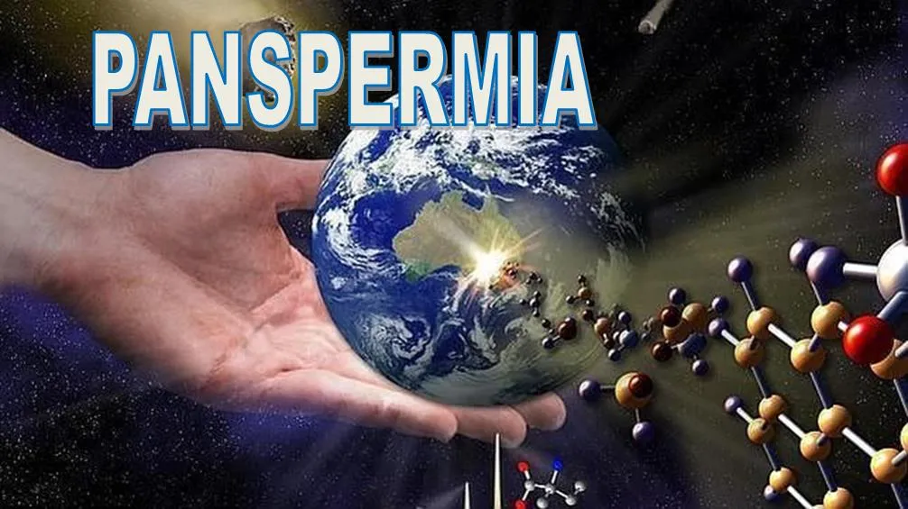 Imagen3.jpg